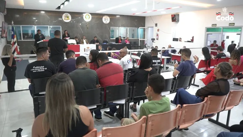 Câmara de Codó aprova importante Lei no combate da violência contra as mulheres