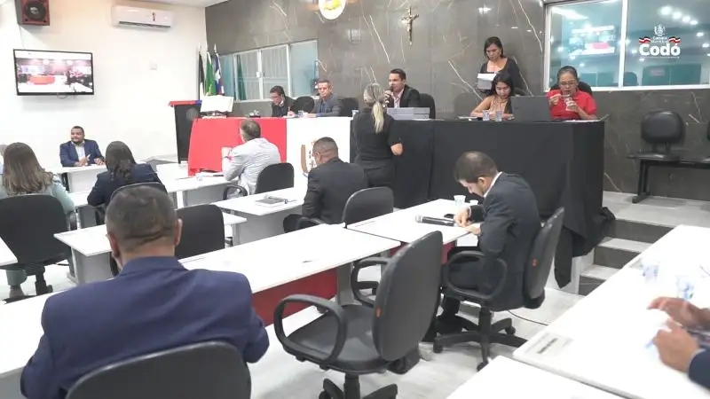 29ª Sessão: Câmara delibera sobre Projetos e Indicações para Saúde, Assistência Social e Infraestrutura